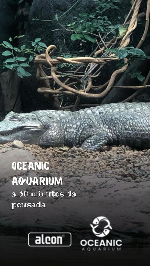 Pousada El Patron بنها المظهر الخارجي الصورة